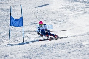 球迷文化塑造体育新生态，从看台到社区的情感纽带