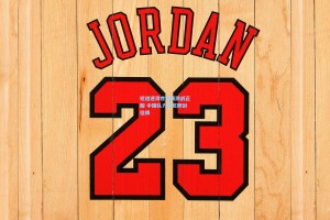 短道速滑世锦赛激战正酣 中国队力拼奖牌创佳绩