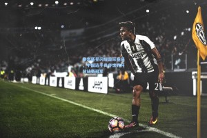 攀岩新星闪耀国际赛场，中国选手勇夺世界杯分站赛冠军