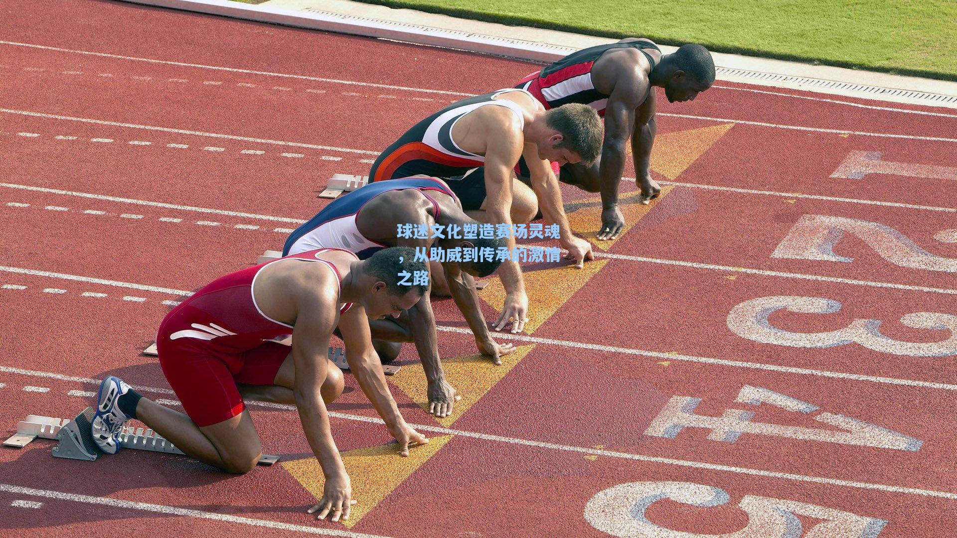 球迷文化塑造赛场灵魂，从助威到传承的激情之路